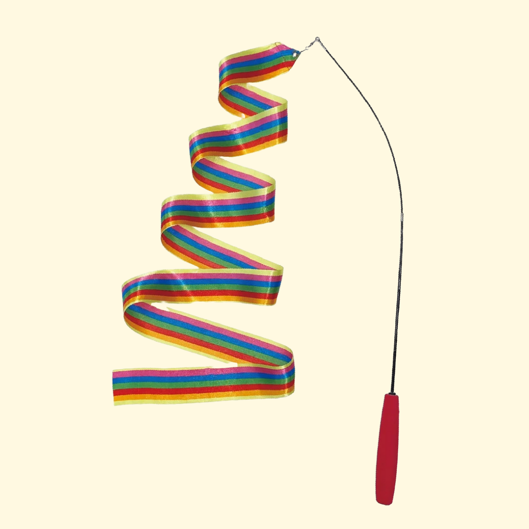 じゃれ猫りぼんの舞