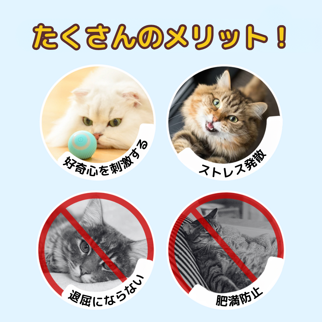 コロコロにゃんボール