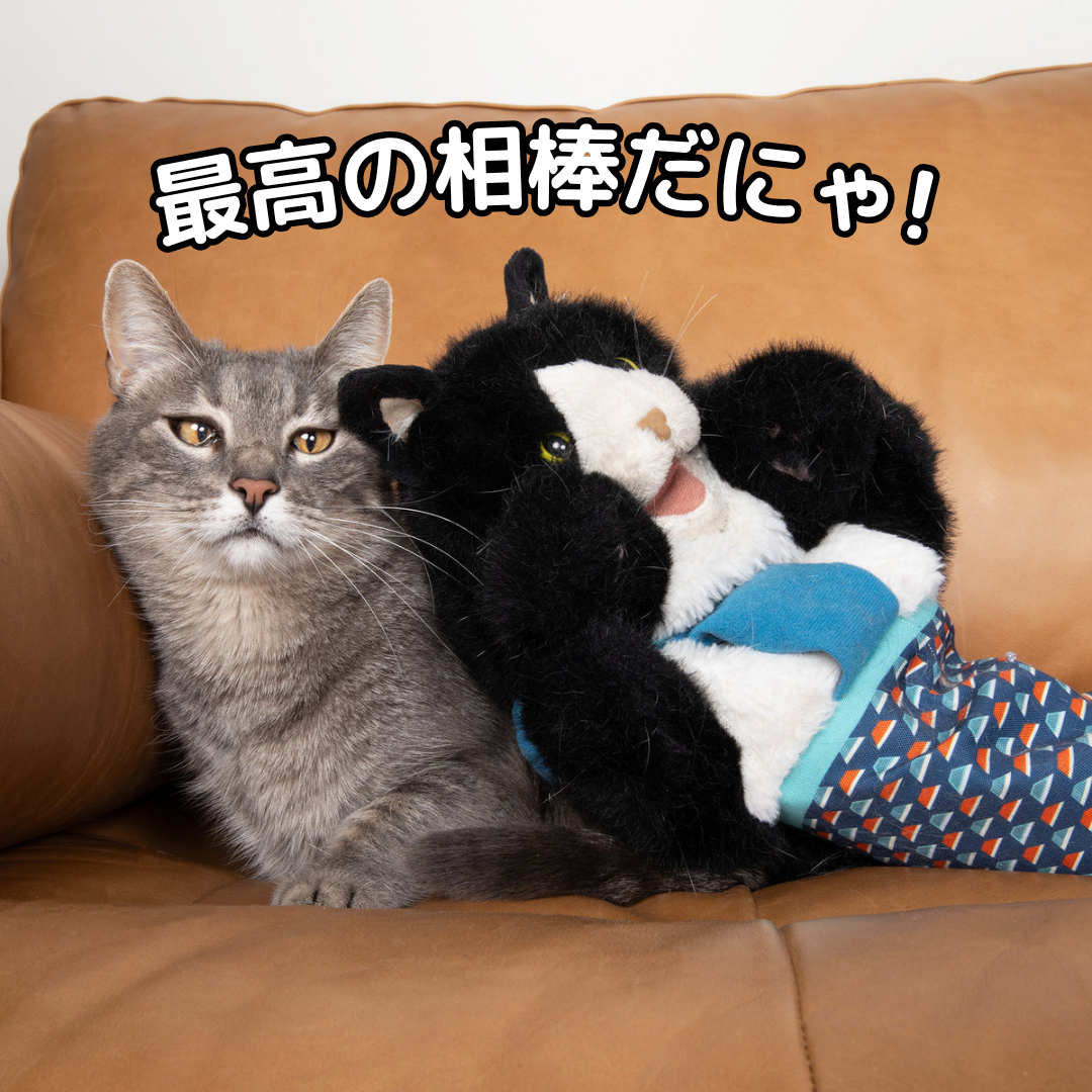 じゃれ猫グローブ