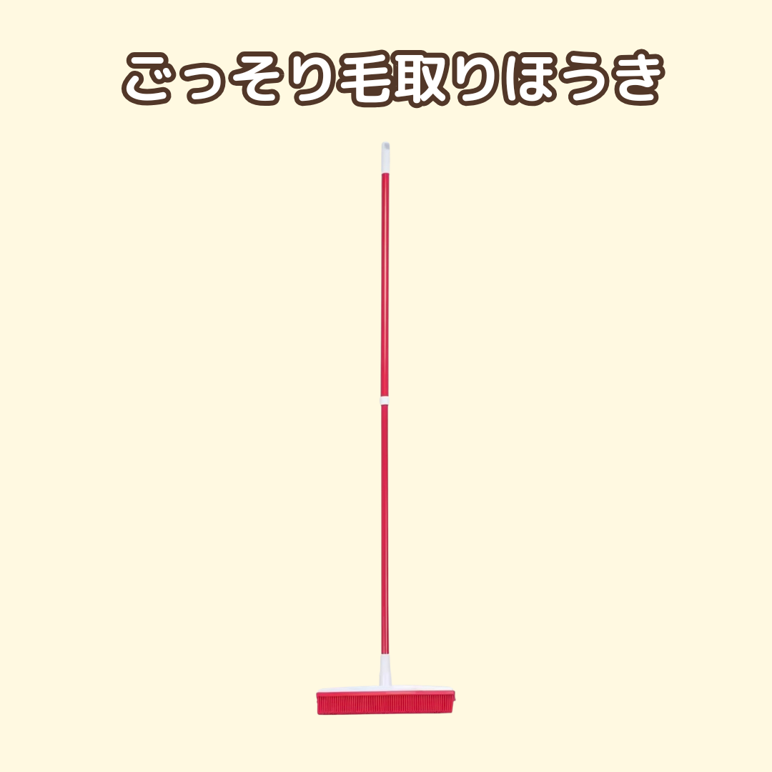 ごっそり毛取りほうき