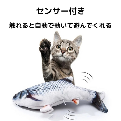 猫フィッシュ