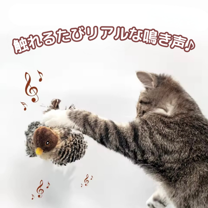 パタスズちゃん