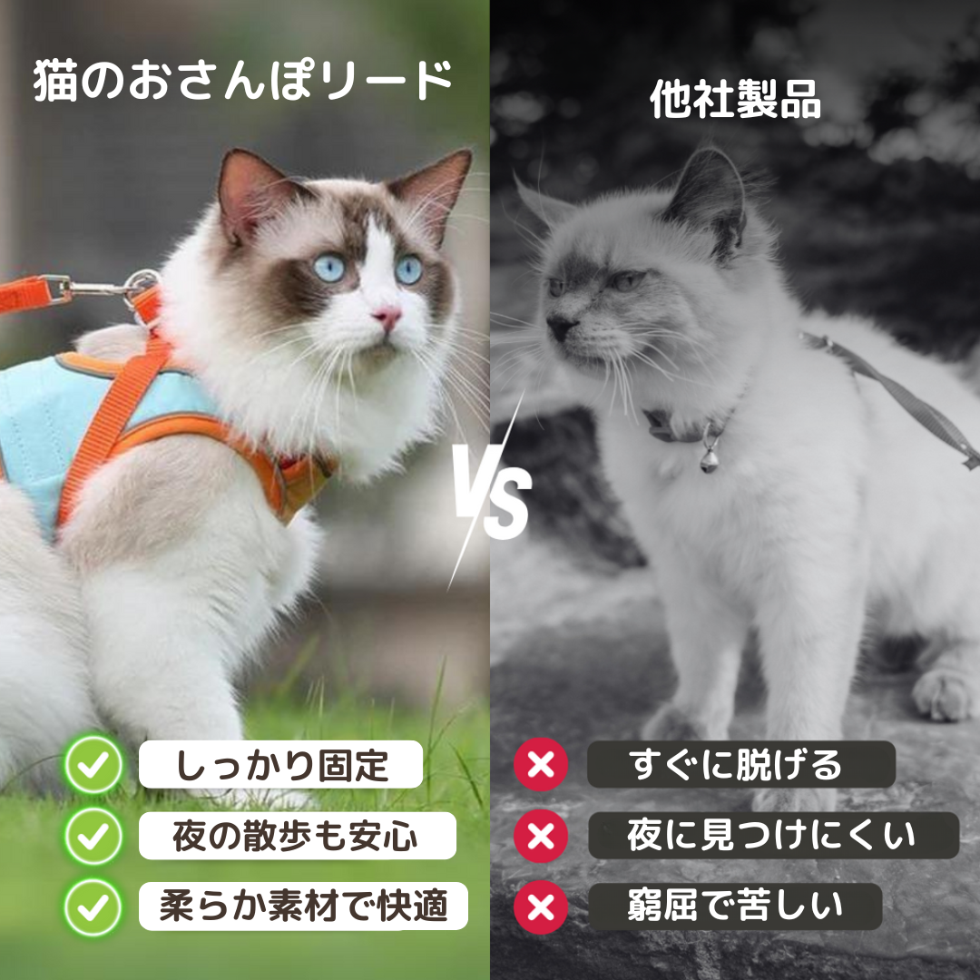 猫のお散歩ハーネスリード