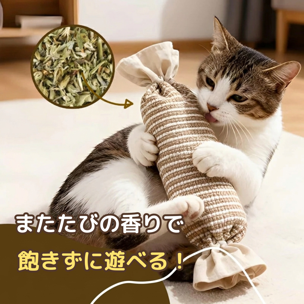 夢中けりぐるみ