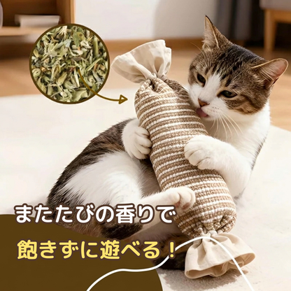 夢中けりぐるみ