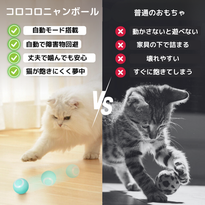 コロコロにゃんボール