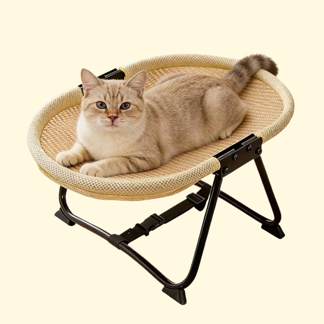 🐾ねころんベッド