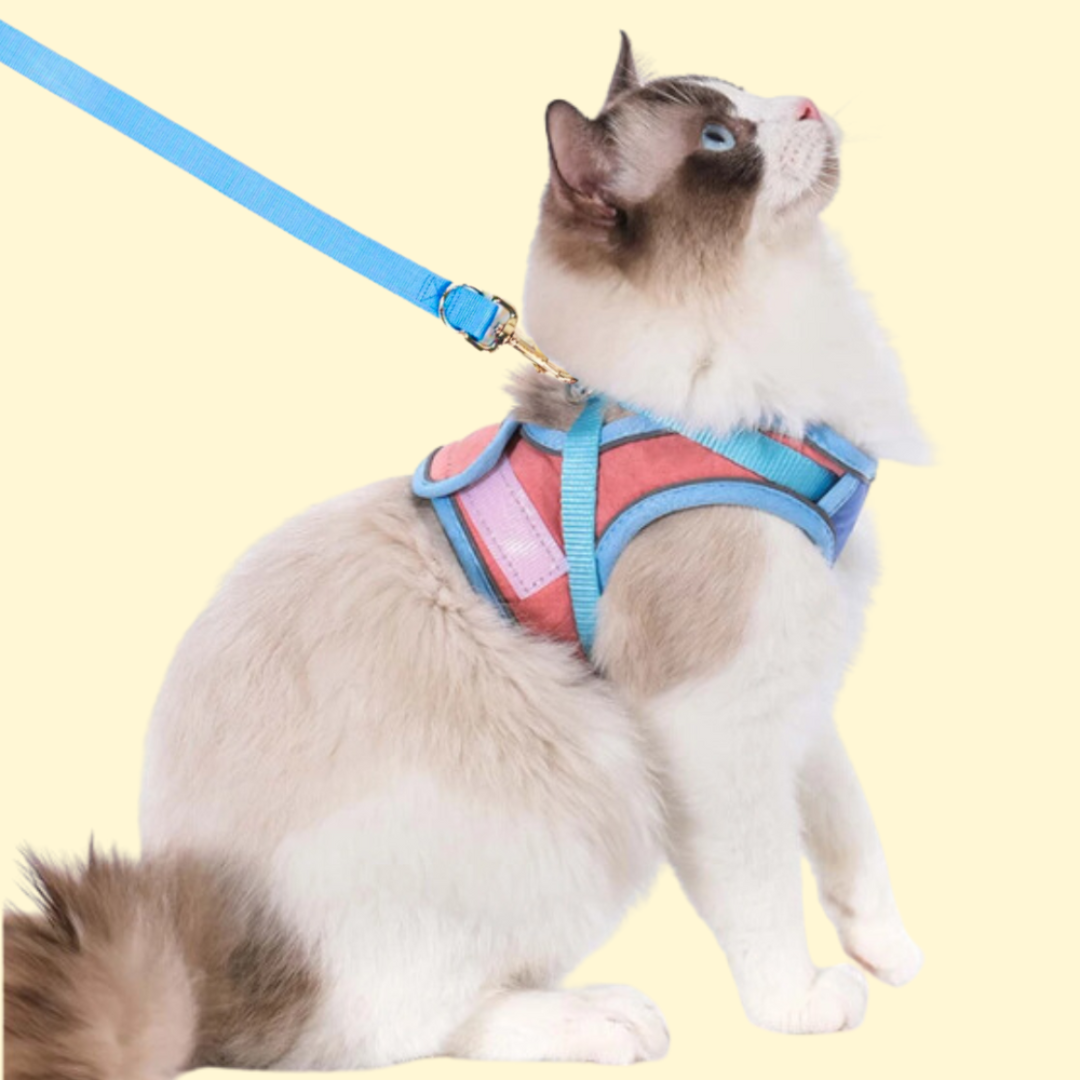 猫のお散歩ハーネスリード