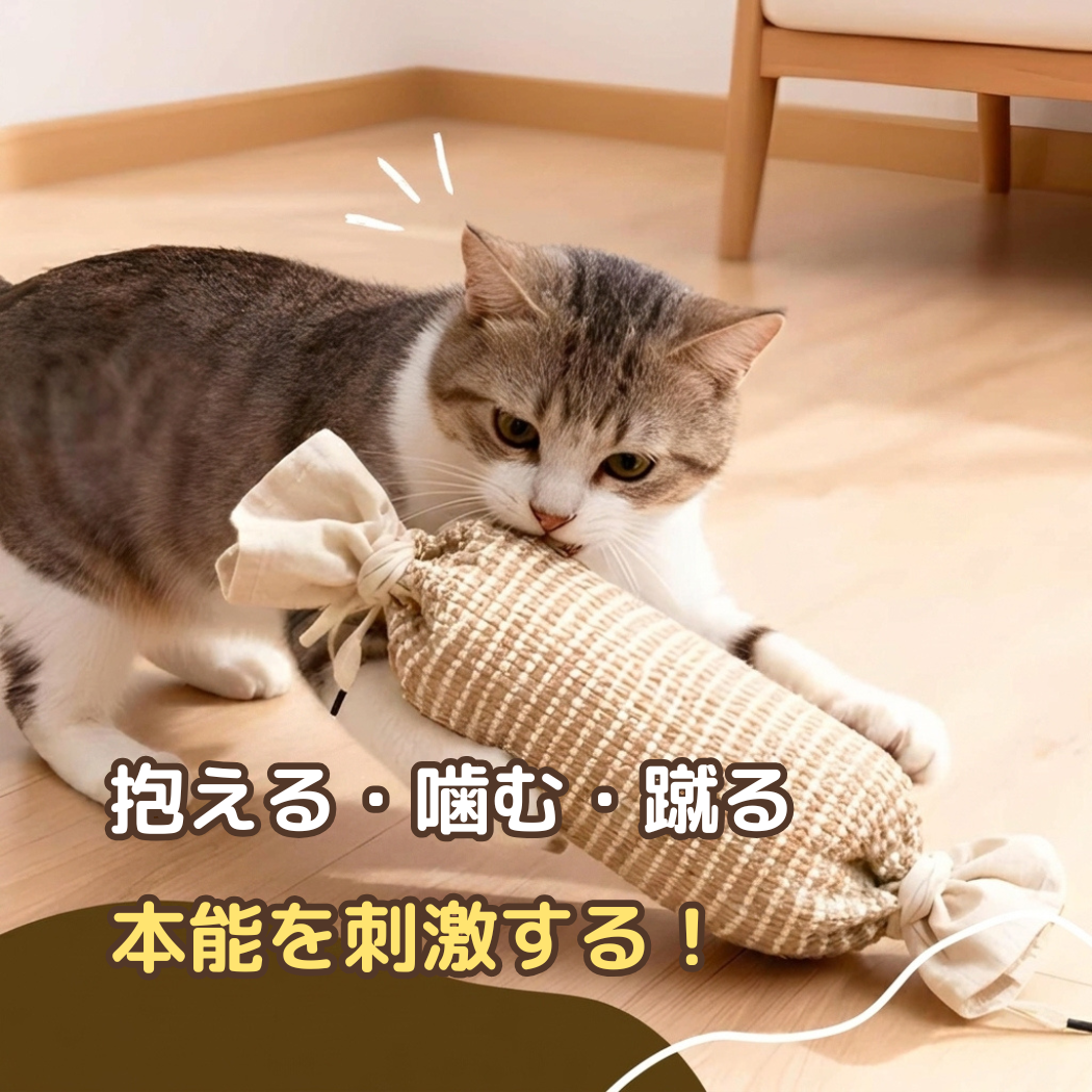 夢中けりぐるみ