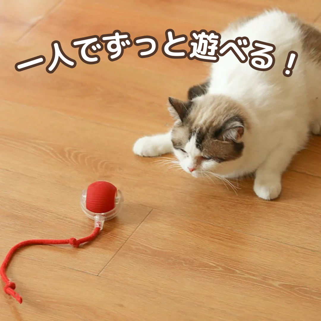 ひとり遊び名人ボール