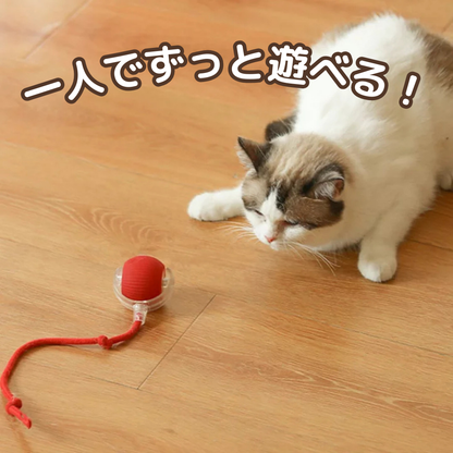 ひとり遊び名人ボール