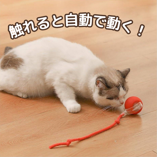 ひとり遊び名人ボール