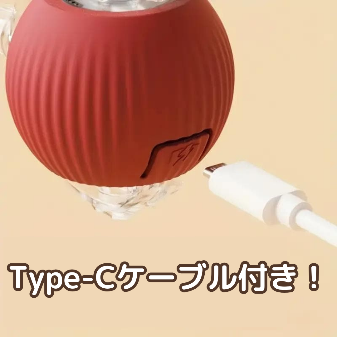 ひとり遊び名人ボール