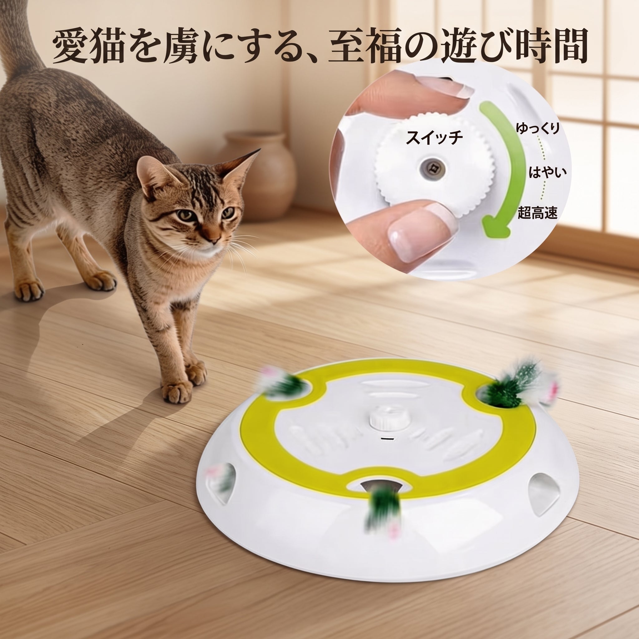 かくれんぼ羽じゃらし – kittyの暮らし
