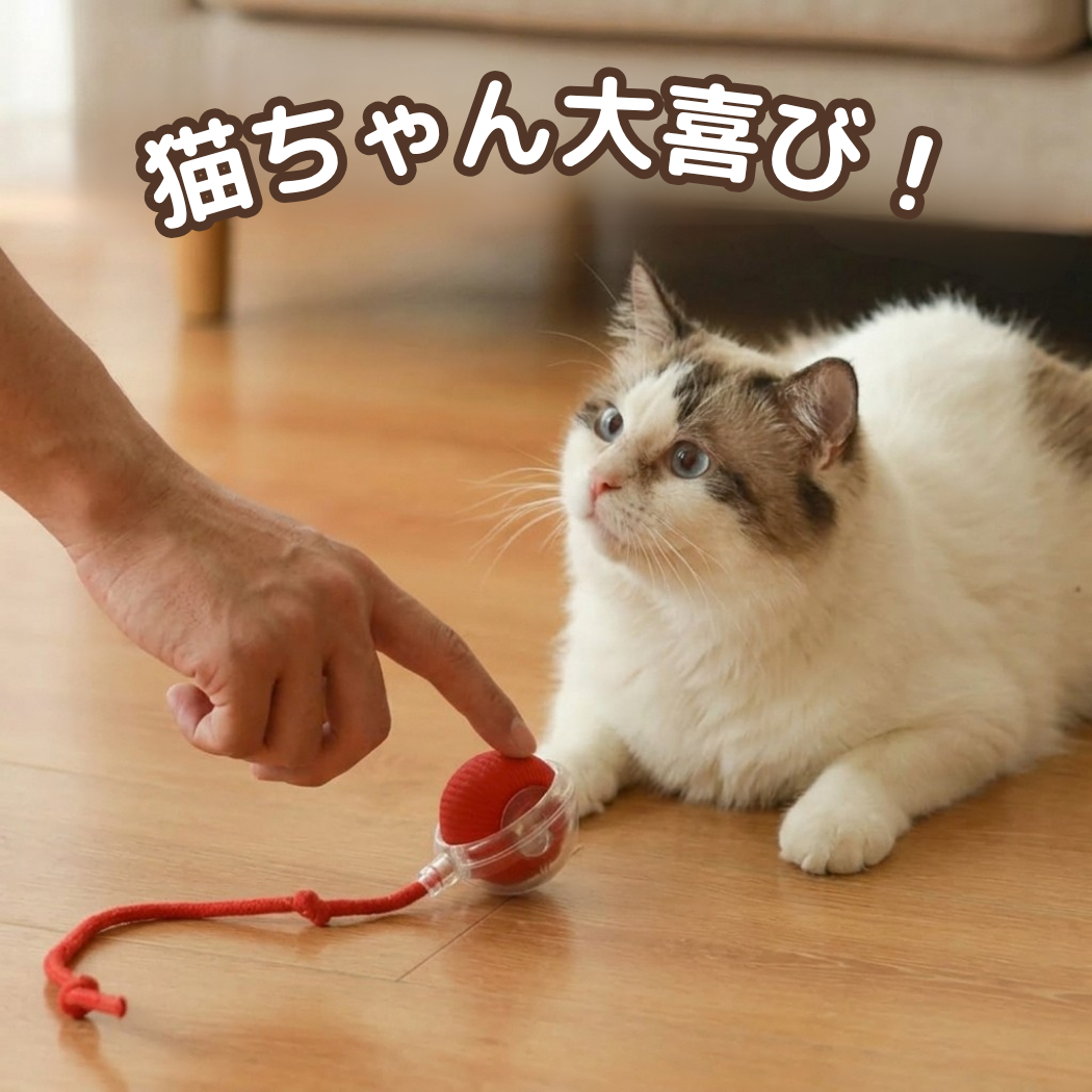 ひとり遊び名人ボール