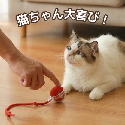 ひとり遊び名人ボール