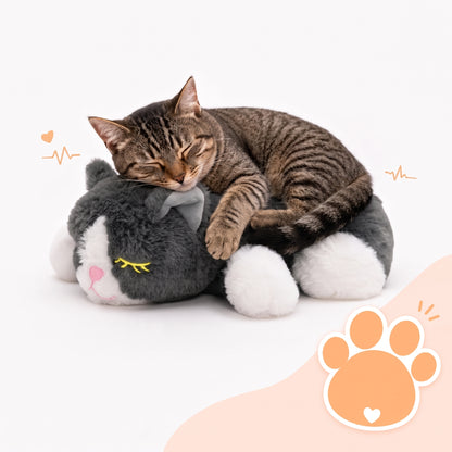 すやすや心音にゃんこ
