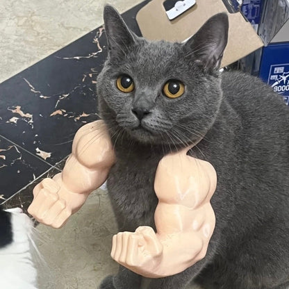 マッスルキャット