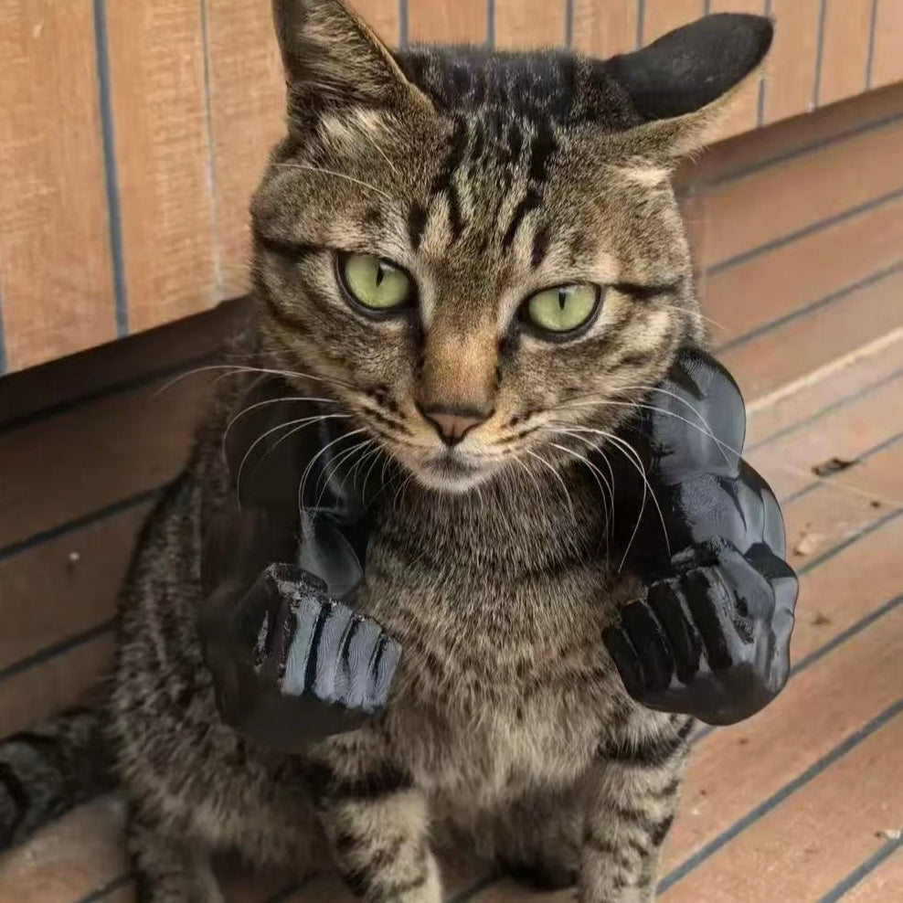 マッスルキャット