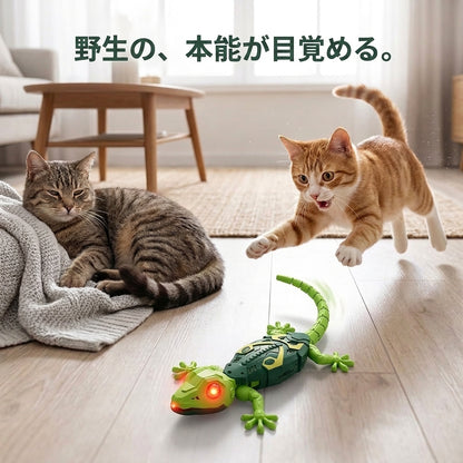 壁足りトカゲ